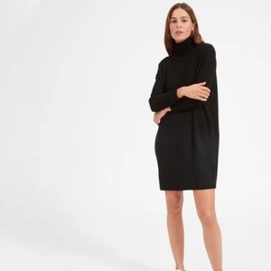Everlane Cashmere Turtleneck Dress (S)